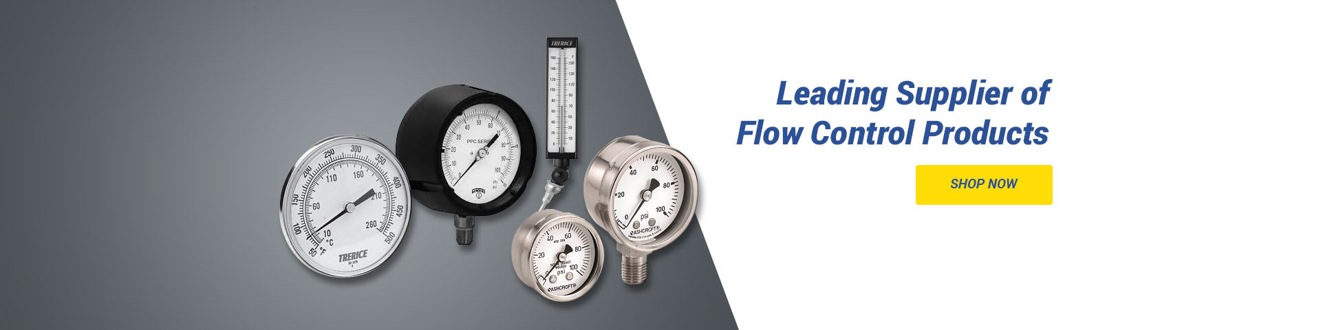 Leading Supplier of FLow Control Products