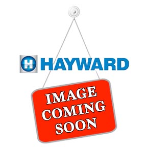 Picture of  -S200 - 8" Basket Strainer Slant Top SS Basket Option (1 ea.) 200 Mesh - Hayward